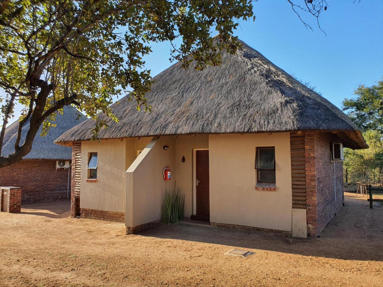 Masorini Bush Lodge & Safari Tents Phalaborwa Quarto foto