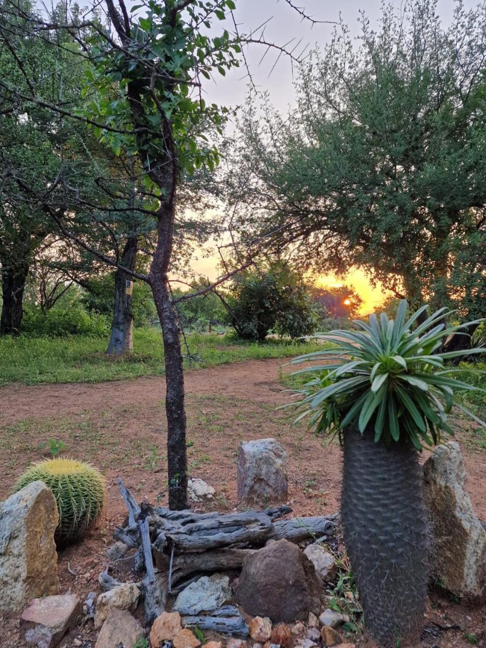 Masorini Bush Lodge & Safari Tents Phalaborwa Exterior foto